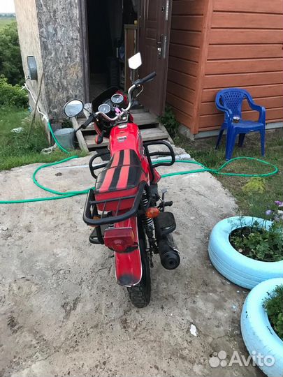 Альфа спорт