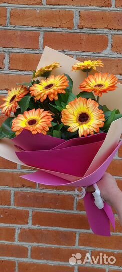 Цветы гербера