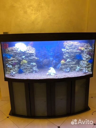 Аквариумы, Пруды обслуживание