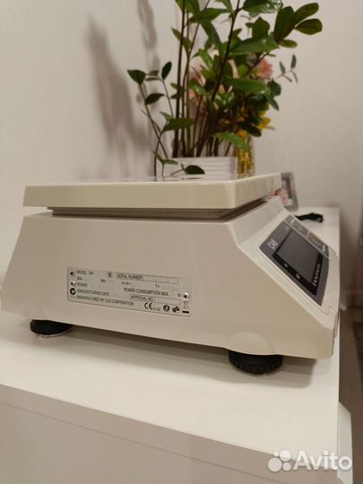 Весы CAS SW-10
