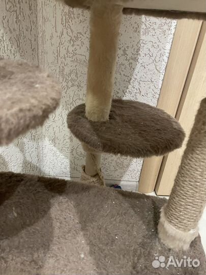 Домик для кошки с когтеточкой бу