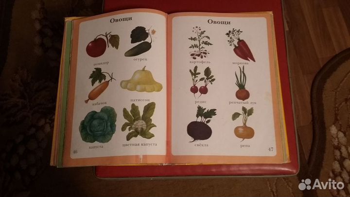 Энциклопедия малыша-моя первая книга