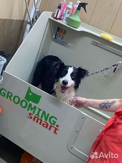 Стрижка собак груминг, тримминг