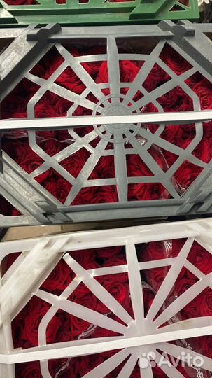 Красные Розы 70-80-90 см Оптом