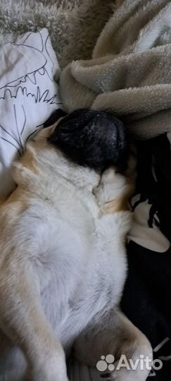 Ищу девушку для встречи