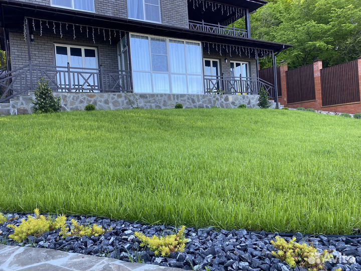 Семена газонной травы для школ, садов