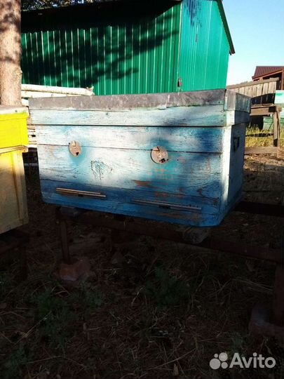 Улей для пчел