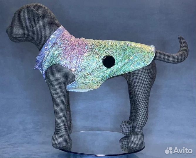 Одежда для собак мелких пород