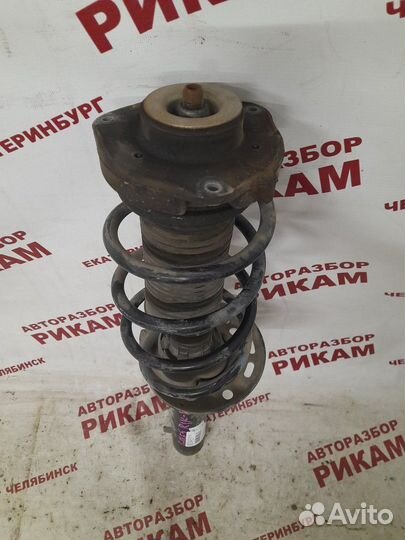 Стойка передняя Volkswagen Golf V 1K1 BLF 2006