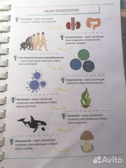 Учебник для подготовки к егэ и огэ