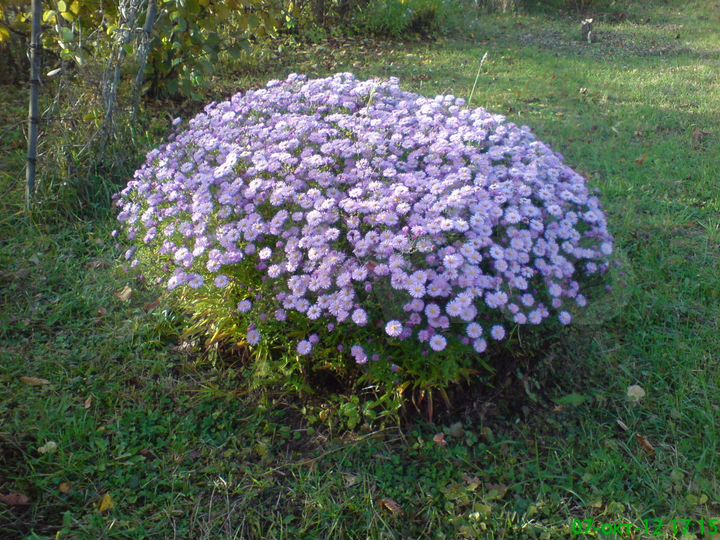 Участок 16,5 сот. (ИЖС)