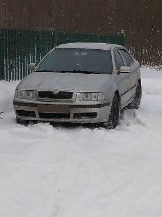 Skoda Octavia: фото владельца