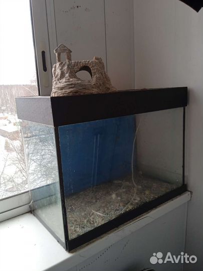 Аквариумные рыбки