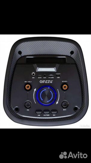 Колонка ginzzu 218