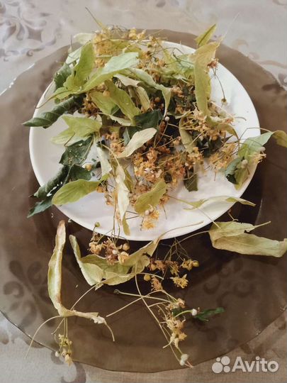 Липовый цвет