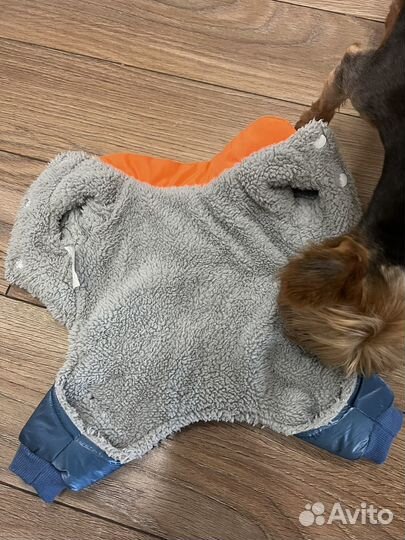 Комбинезон для собаки petmax