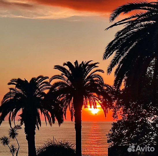 Индивидуальные экскурсии по Абхазии и Сочи