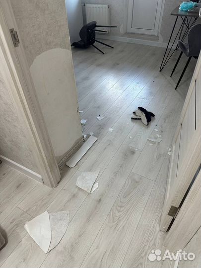 Аренда Сибы