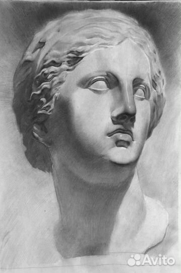 Репетитор по академическому рисунку и живописи