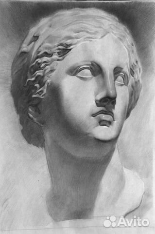 Репетитор по академическому рисунку и живописи