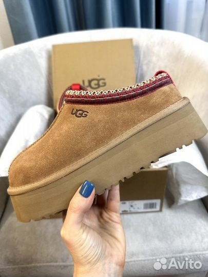 Угги UGG tazz tasman chestnut в наличии