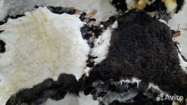 Шкурки овечьи