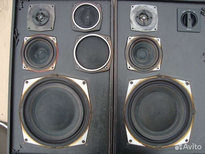 Колонки (акустика ) Радиотехника