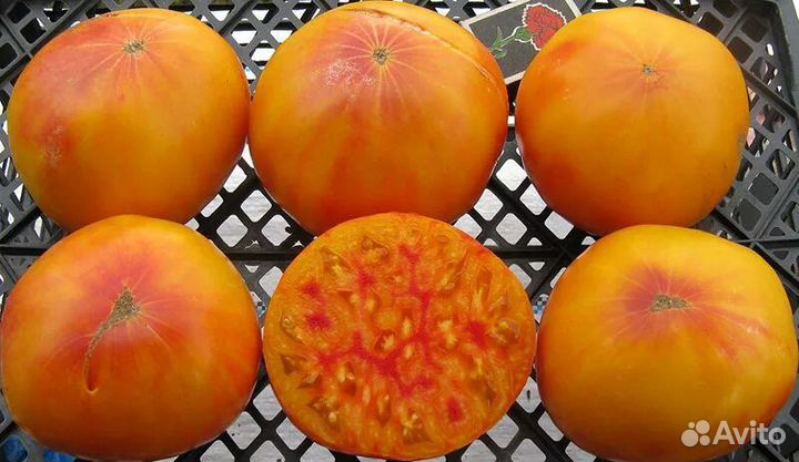 Семена коллекционных сортов томатов