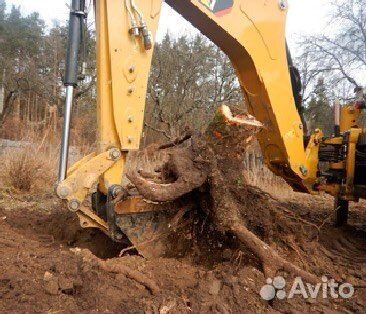 Расчистка участков,спил деревьев(опасных)