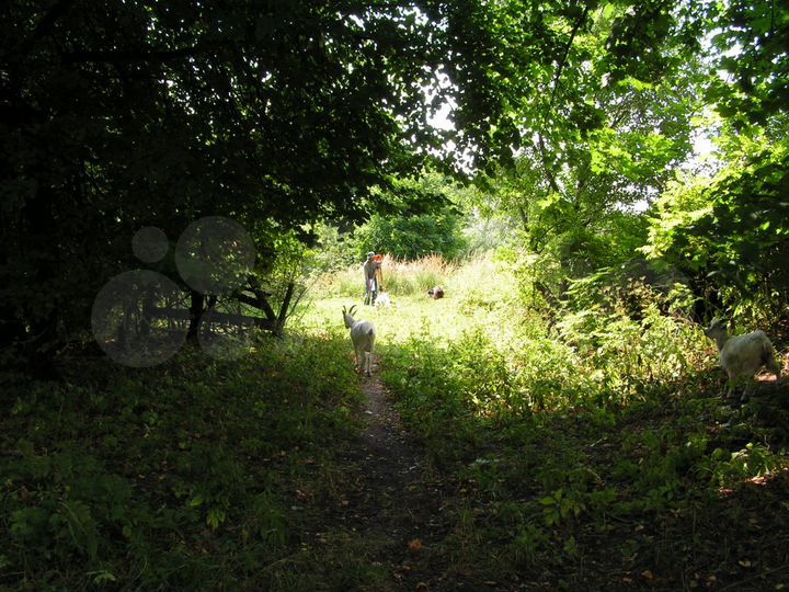 Участок 14 сот. (ИЖС)