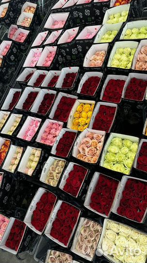 Розы опт Эквадор