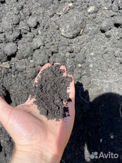 Плодородный грунт. Полевая земля. Чернозём. Торф