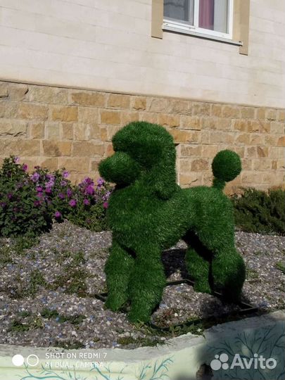 Топиарная фигура- Пудель