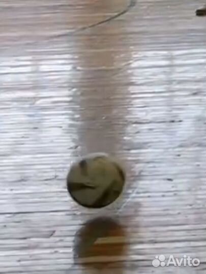 Играем в футбол