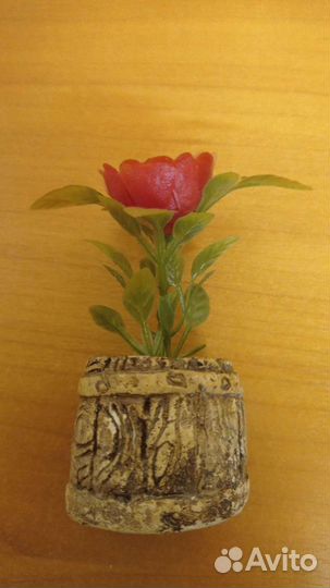 Для аквариума