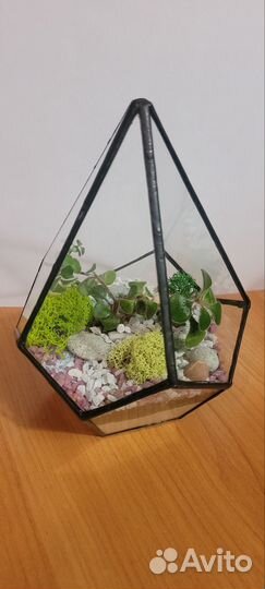Флорариум подарок ваза