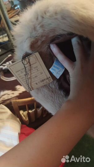 Шапка натуральный мех СССР женская