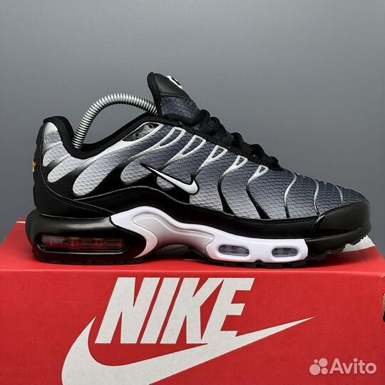 Кроссовки мужские Nike Air Max TN Plus