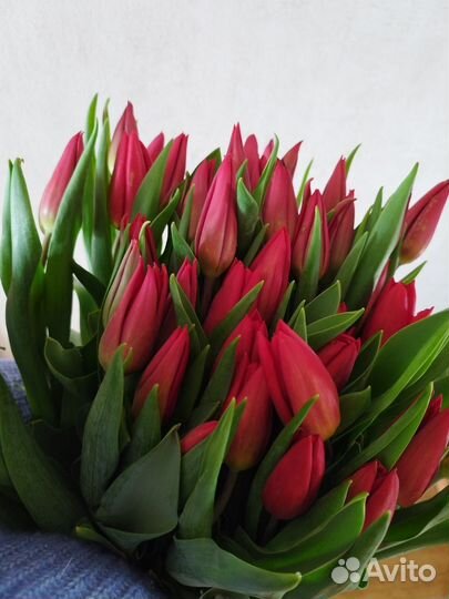 Тюльпаны букеты к 8 марта