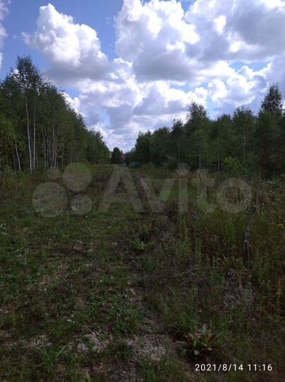 Участок 6,3 сот. (СНТ, ДНП)