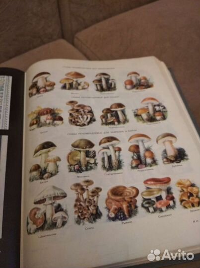 Энциклопедия 1979г учебник Акушерство 1958г