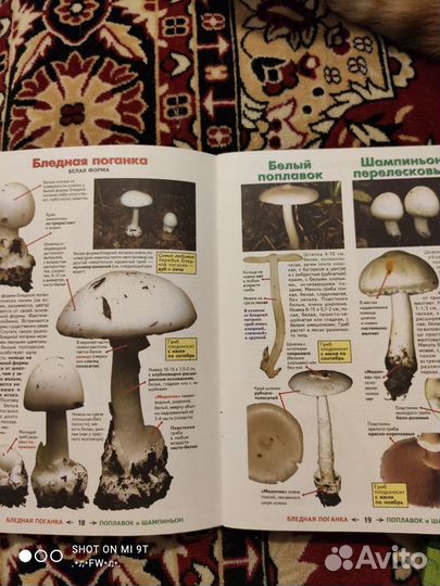 Книга о грибах. Справочники