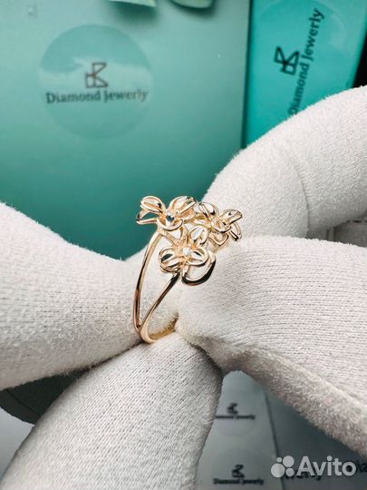 Золотое кольцо