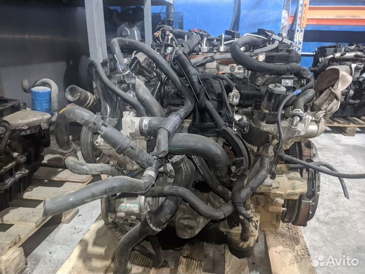 Двигатель cvrc 155 л.с 2.2 для Ford Transit