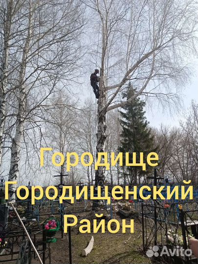 Спил, Удаление,обрезка деревьев.Расчистка участков