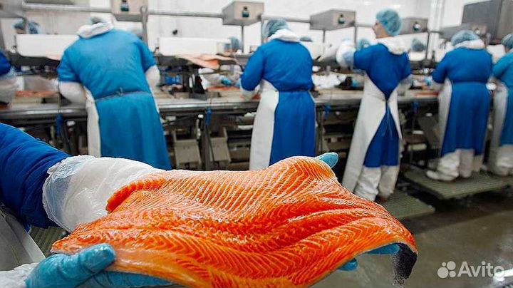 Разнорабочий на рыбное производство вахтой