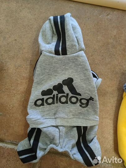 Одежда для собак мелких пород