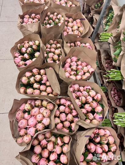 Пионы.пион.розы.букет.кустовая роза