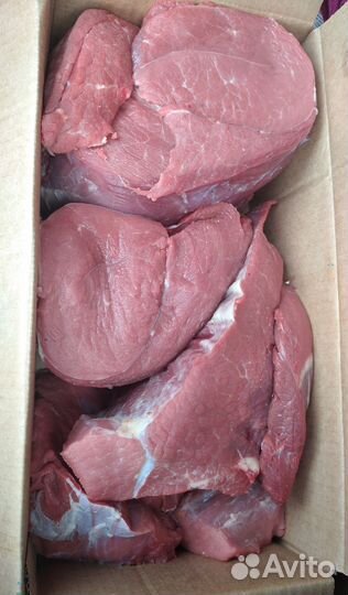 Мясо говядина. Бычки