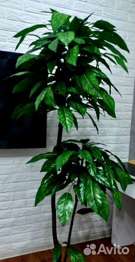 Искусственное дерево mango